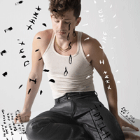 Charlie Puth I Don't Think That I Like Her Ǻ 