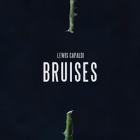 Bruises  Ǻ