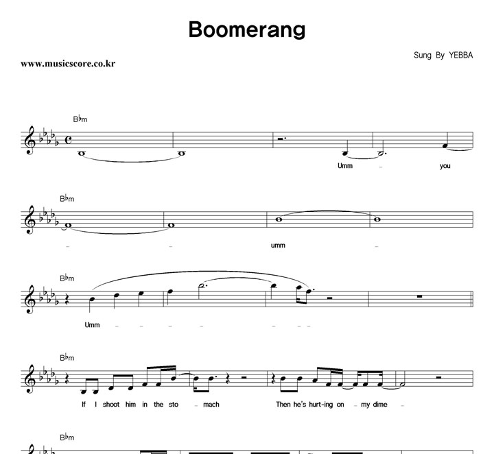 YEBBA Boomerang �Ǻ�