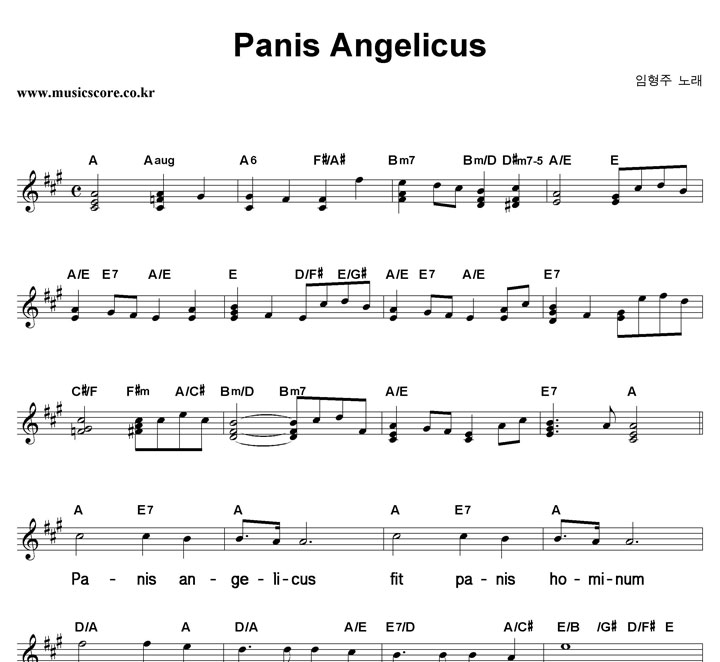 ������ Panis Angelicus ūȰ�� �Ǻ�