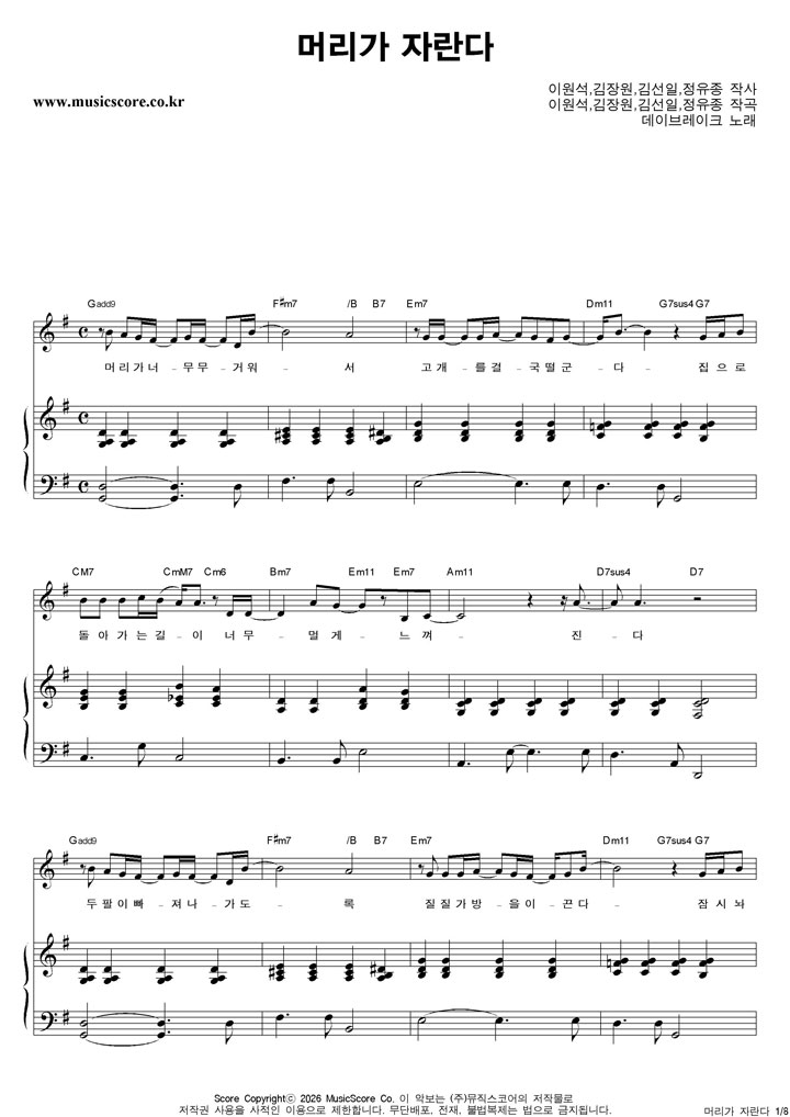 ���̺극��ũ �Ӹ��� �ڶ��� �ǾƳ� �Ǻ�