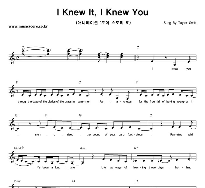 Taylor Swift I Knew It, I Knew You  �Ǻ�