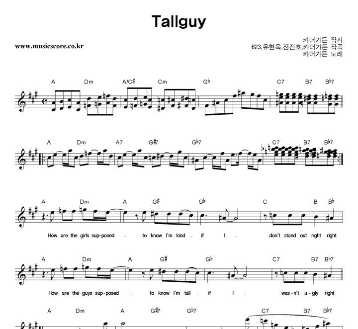 ī������ Tallguy �Ǻ�