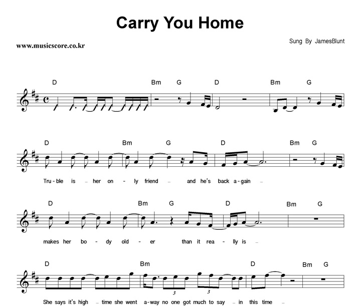 James Blunt Carry You Home Ǻ