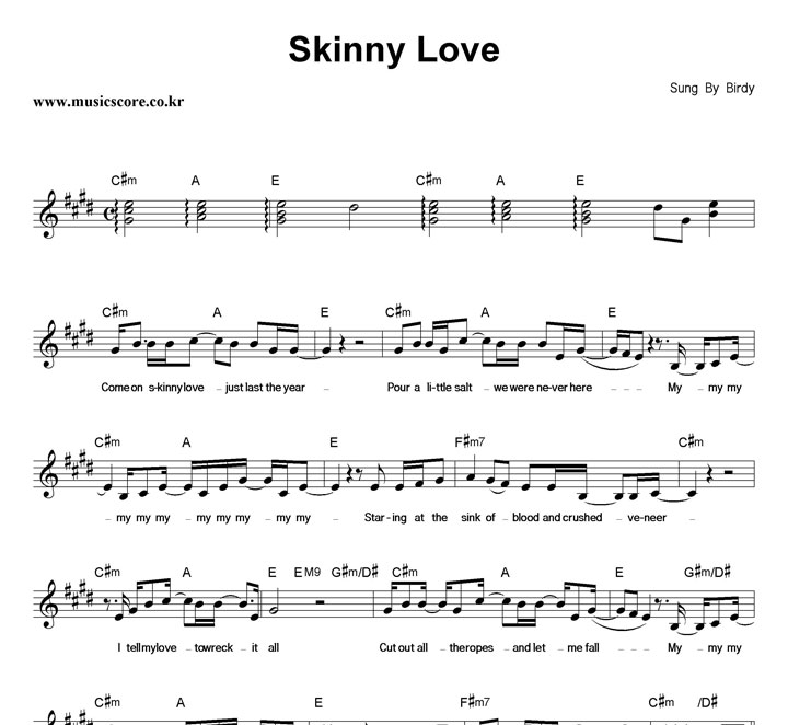 Birdy Skinny Love Ǻ