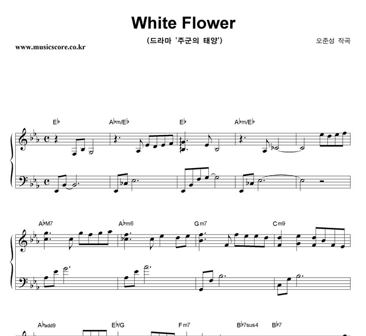 ؼ White Flower ǾƳ Ǻ