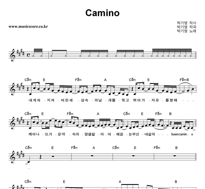 ڱ⿵ Camino Ǻ