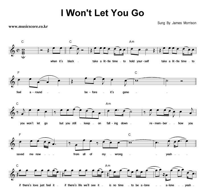 James Morrison I Won't Let You Go Ǻ