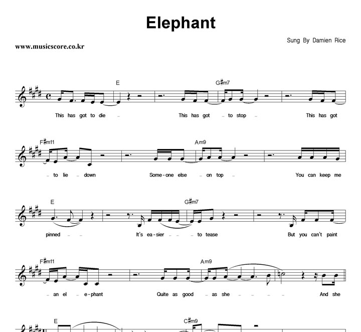 Damien Rice Elephant Ǻ