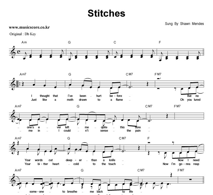 Shawn Mendes Stitches  CŰ Ǻ