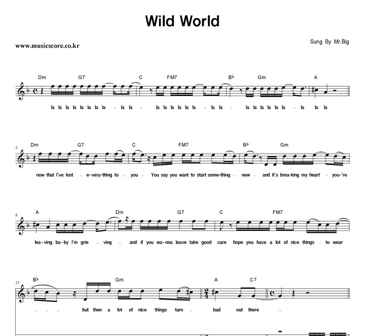 Mr.Big Wild World  巳 Ǻ