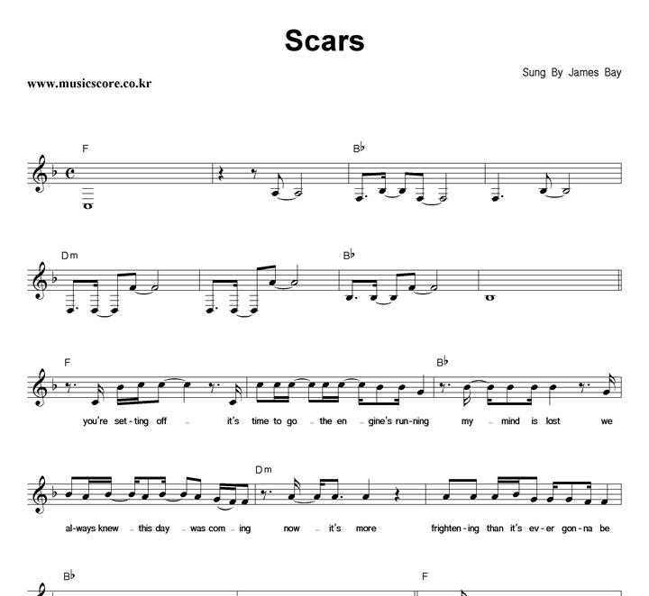 James Bay Scars Ǻ