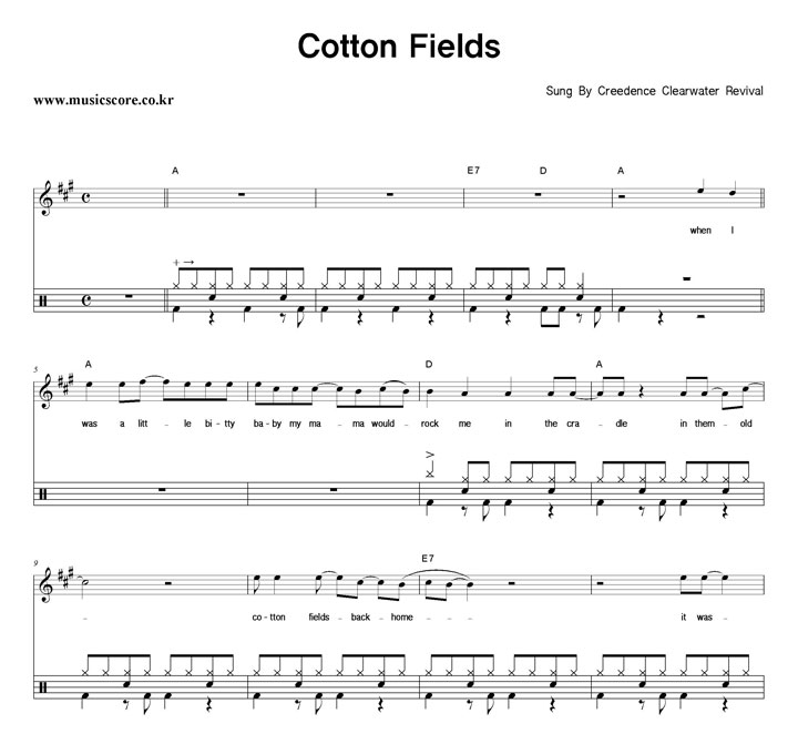 C.C.R Cotton Fields  巳 Ǻ