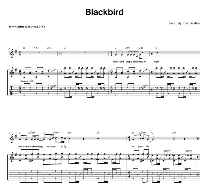 The Beatles Blackbird Ÿ Ÿ Ǻ