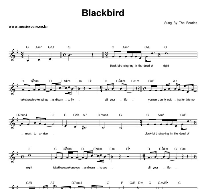 The Beatles Blackbird Ǻ