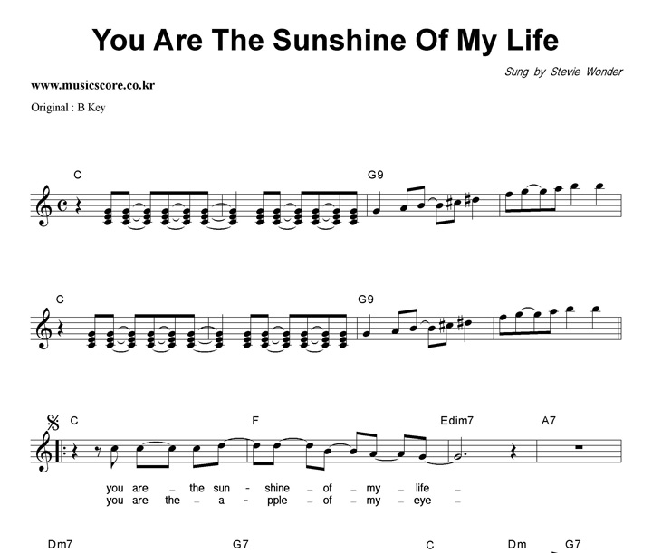 Stevie Wonder You Are The Sunshine Of My Life  CŰ Ǻ