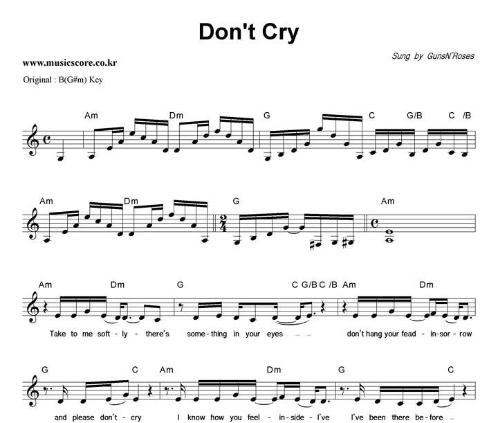 Guns N' Roses Don't Cry  CŰ Ǻ