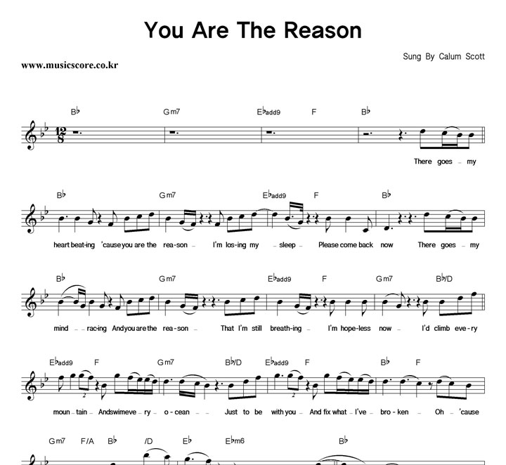 Calum Scott You Are The Reason Ǻ