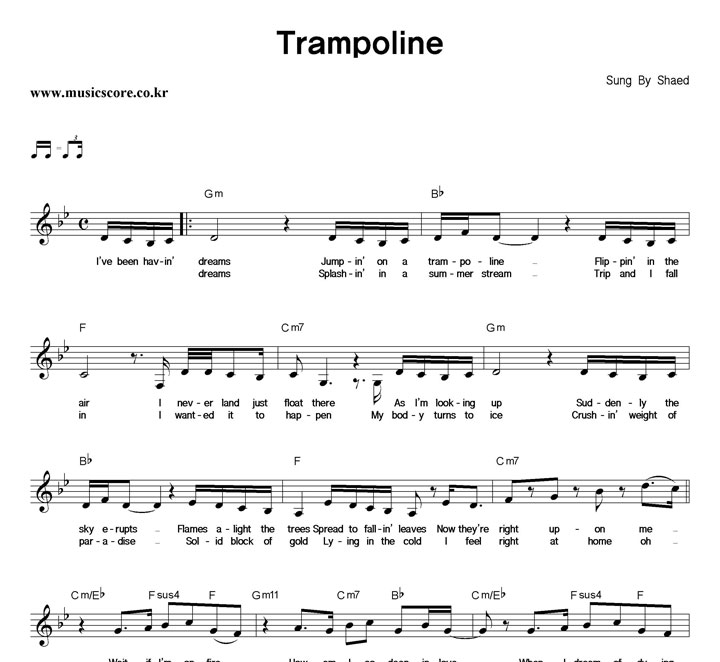 SHAED Trampoline Ǻ