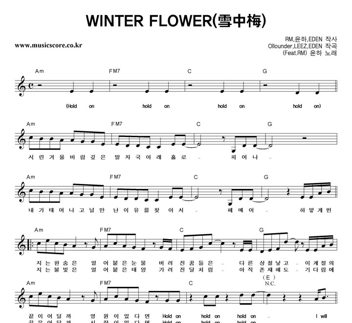  WINTER FLOWER Ǻ