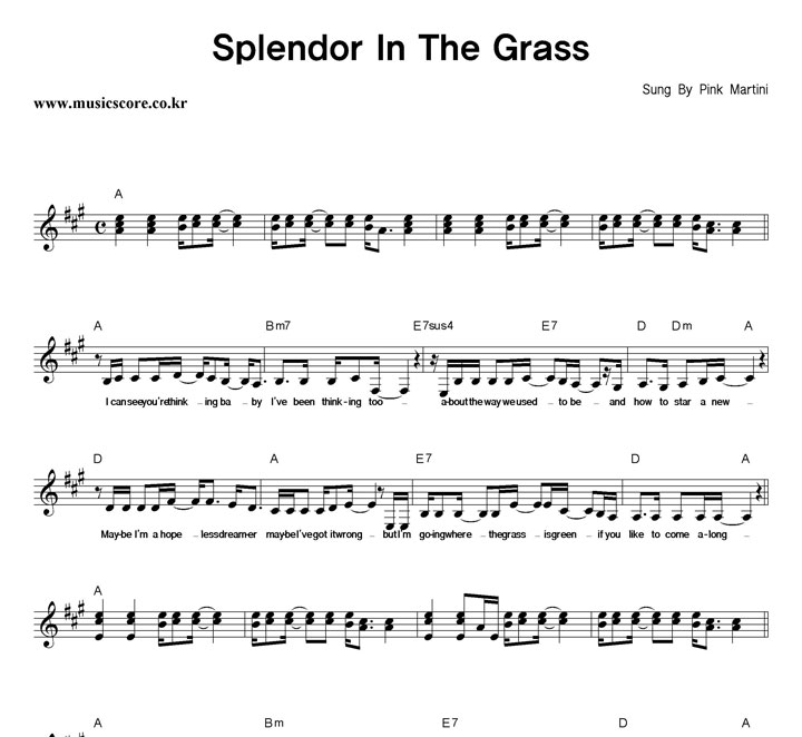 Pink Martini Splendor In The Grass Ǻ