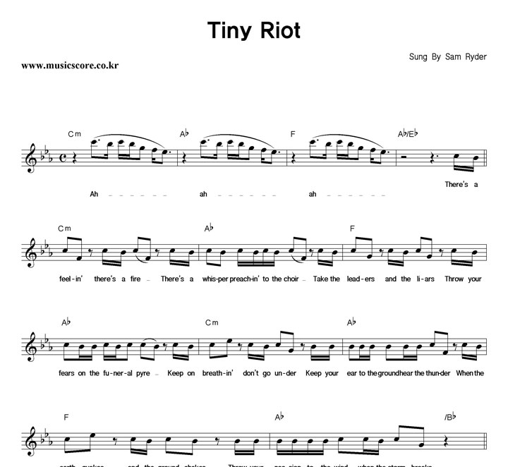 Sam Ryder Tiny Riot Ǻ