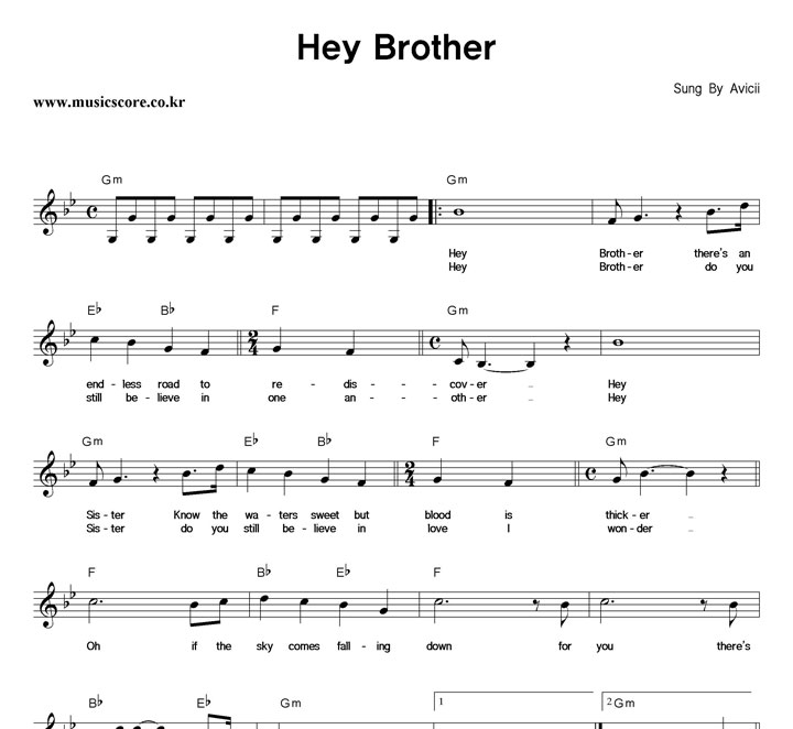 Avicii Hey Brother Ǻ