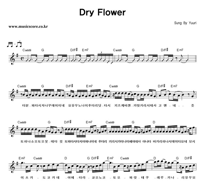 Yuur Dry Flower Ǻ