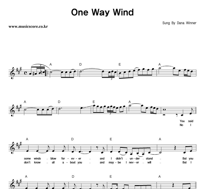 Dana Winner One Way Wind Ǻ