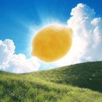 ���������� Lemon Tang �Ǻ� 