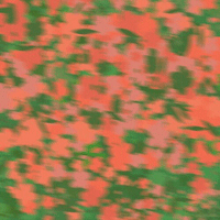 �������  �Ǻ�