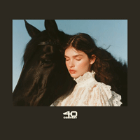 �챸��� ũ��Ŀ �Ǻ�