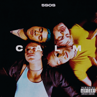 5 Seconds Of Summer High Ǻ ٹ 