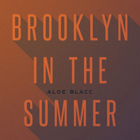 BrooklynInTheSummer  Ǻ