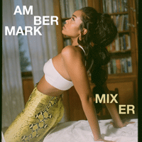 Amber Mark Mixer Ǻ ٹ 