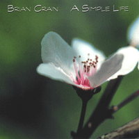 Brian Crain A Simple Life ǾƳ Ǻ ٹ 