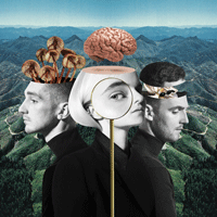 Clean Bandit Solo Ǻ ٹ 