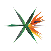 KoKoBop  Ǻ