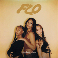 FLO Cardboard Box Ǻ ٹ 