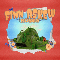 Finn Askew Roses Ǻ ٹ 