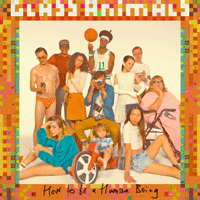 Glass Animals The Other Side Of Paradise Ǻ ٹ 