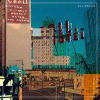 ����ȣ��(BandVer.)  �Ǻ�