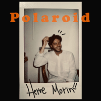 Herve Morin Polaroid ǾƳ Ǻ ٹ 