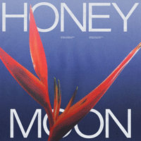 Honeymoon  Ǻ