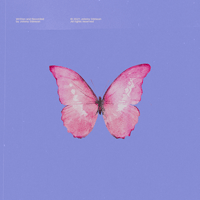 Butterflies  Ǻ
