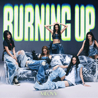 BURNINGUP  Ǻ
