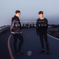 Martin Garrix, Troye Sivan There For You Ǻ ٹ 
