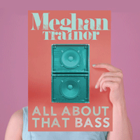 Meghan Trainor All About That Bass Ǻ ٹ 