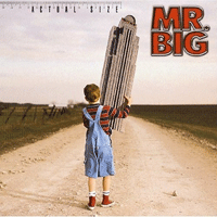 Mr.Big Shine Ǻ ٹ 
