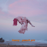 Peach PRC Heavy Ǻ ٹ 